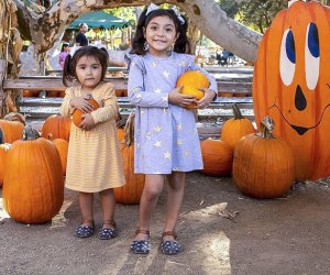 Hop on the train, pick a pumpkin, and play all day. Photo courtesy of the Irvine Park Railroad