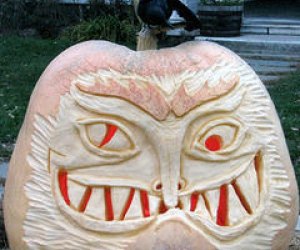 Halloween Happenings at Ipswich River Wildlife Sanctuary