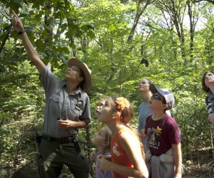 It's Kids Week with the Urban Park Rangers! Find fun, park ranger-led nature programs in a park near you. Photo courtesy of NYC Parks