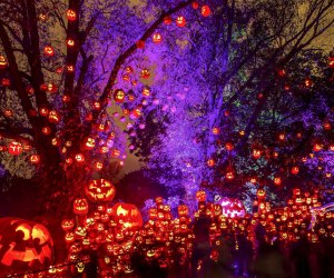 Rhode Island plays host to the Jack-O-Lantern Spectacular. Photo courtesy of Roger Williams  Park Zoo