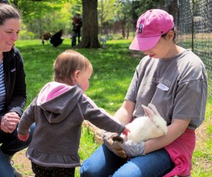 Weekend Fun: Flowers, Kites, and Grilled Cheese; May 18-19 Natick Community Organic Farm's annual Spring Spectacular has lots of outdoor farm fun including meeting baby farm animals in the petting pasture. Photo by Kori Feener for NCOF