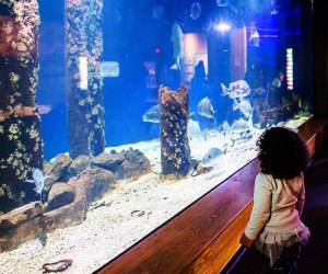 Things To Do in Jackson, MS: Mississippi Museum of Natural Science