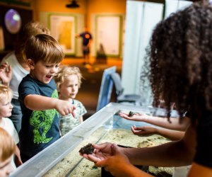 The touch tank at the Mississippi Museum of Natural Science delights kids. Photo courtesy of the museum
