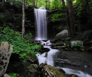 Family-Friendly Day Trips to Pennsylvania's Waterfalls