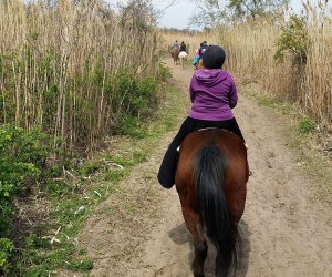 Jamaica Bay Riding Academy: Horseback Riding in New York