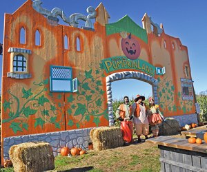 Pumpkin patches near Long Island Harbes Farm in Jamesport