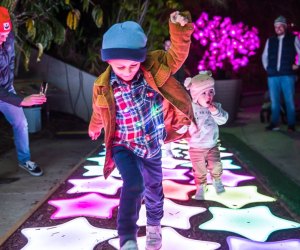 Light your way to 2024. Photo by Jamie Pham, courtesy of the LA Zoo