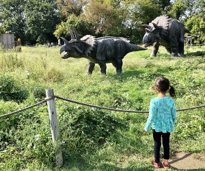 Field Station: Dinosaurs is a tourist attraction in New Jersey