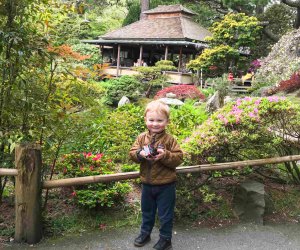 Kiddos will love the arched drum bridge. Japanese Tea Garden photo by Nicole Findlay