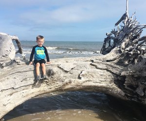 boy sitting on log at the ocean at Jekyll Island