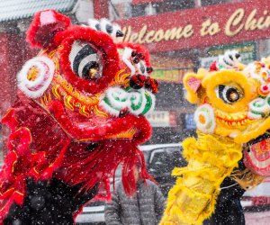 The Chinese Lunar New Year Parade, photo by Jenny Gloria Zhang, courtesy of northwestern.edu