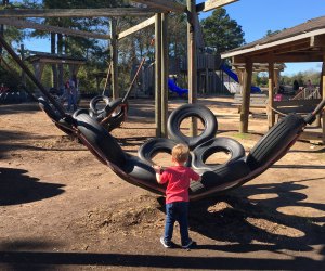 Best Playgrounds in Houston: Destination Playgrounds Worth the Drive