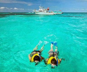 30 Things To Do in the Florida Keys with Kids: Swim in a coral reef