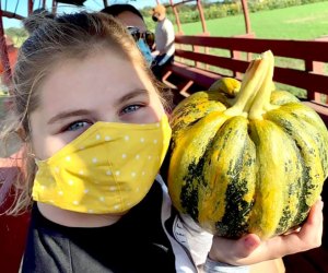 Pick pumpkins and enjoy more fall fun every weekend at Johnson's Corner Farm. Photo courtesy of the farm