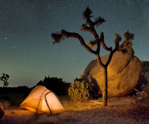 Camping at Joshua Tree National Park. Photo by Hannah Schwalbe/NPS 