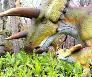 Life Size Robot Dinos Roar At New Dinosaur Safari At The Bronx Zoo Mommypoppins Things To Do With Kids