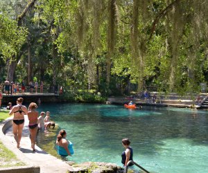 Swim at the freshwater Juniper Springs in Silver Springs, Florida. US Forest Service photo by Susan Blake