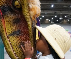 Get up close and personal with the dinosaurs at Jurassic Quest, which also closes this weekend. Photo courtesy Jurassic Quest