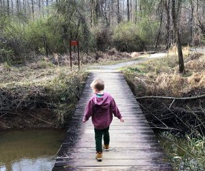 Blend a hike with a history lesson at Kennesaw Mountain National Battlefield Park. Photo courtesy of the park