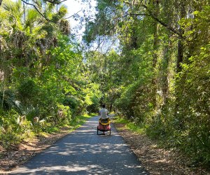 Biking: Kiawah Island with Kids: 40 Best Things To Do on Kiawah Island, SC