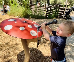 Kidspace Museum in Pasadena: Pepper Tree Music Jam