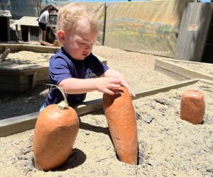 Kidspace museum in Pasadena: Muddy Boot Farm