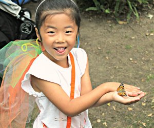 Hey, a butterfly caught a butterfly at Kidspace.