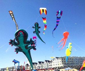 Kites flying Kites on the Pier Festival