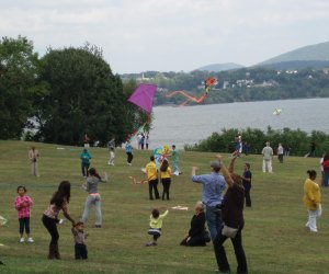 Kites Over the Hudson