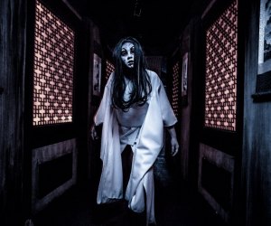 Knott's at Halloween: Is the Scary Farm for Kids?