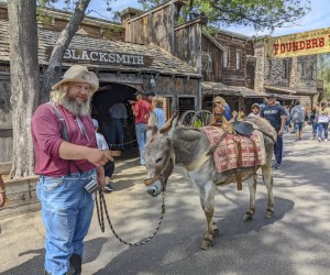 Knott’s Berry Farm: Wild West