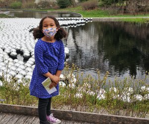 Girl standing near Kusama's Narcissus Garden in the Native Plant Garden at NYBG collection 1,400 stainless steel spheres 
