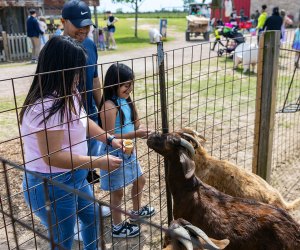 See animals up close at some of these farms near Houston. Photo courtesy of Dewberry Farm