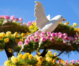 Start the year off at the Rose Parade. Photo by David Photography via Flickr 2.0