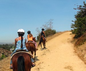 Go horseback riding in the hills above Los Angeles. Photo by Eden Janine & Jim via Flickr 2.0