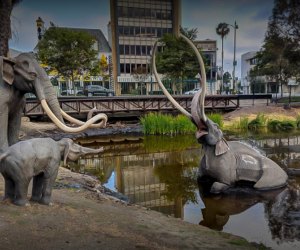 The La Brea Tar Pits and Page Museum: The famous Lake Pit