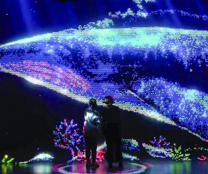 Step into Lite-Brite Worlds of Wonder in Santa Monica. Photo courtesy of Fever