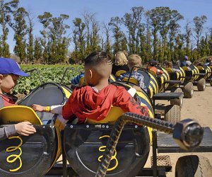 Underwood Farms buzzes with entertainment for all ages. Photo courtesy of the farm.