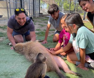 Wild Animal Sleepover Encounters for Kids Near LA Conservation Ambassadors Pasa Robles