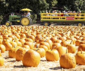 Photo courtesy of Underwood Family Farms