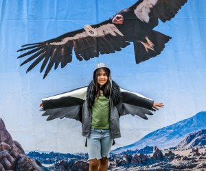 Go 'Wild for the Planet' at the LA Zoo. Photo by Jamie Pham.