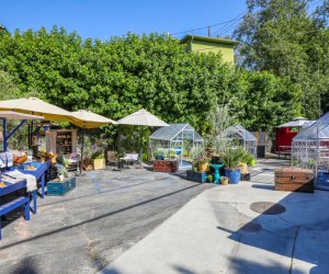LA Restaurants with Outdoor Dining for Kids: Eat in a greenhouse at Lady Byrd
