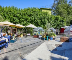 Spring in Los Angeles: Eat at Lady Byrd Cafe in Echo Park