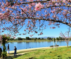 The Best Parks in LA Where Kids Can Run and Play: Lake Balboa Park