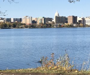 Fun Things To Do In Madison With Kids