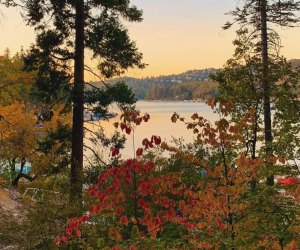 Best Things To Do with Kids in Lake Arrowhead: Fall colors