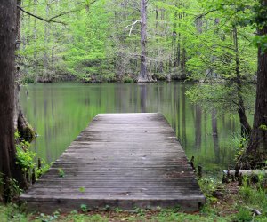 Lake Isabel, Lake Houston Wilderness Park