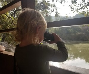 Kids can find ducks and other wildlife from the lookout deck at Descanso Gardens.