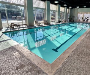 Lansdowne Resort: indoor pool