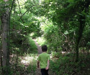 There are 12 miles of hiking trails in La Tourette Park